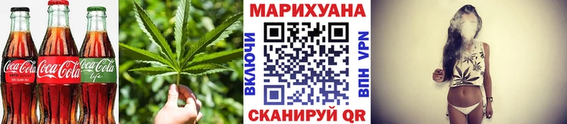 цена   Кологрив  Canna-Cookies марихуана 