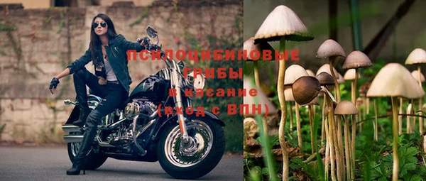гашик Арсеньев
