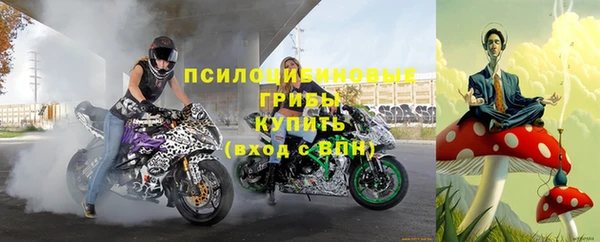 гидра Армянск