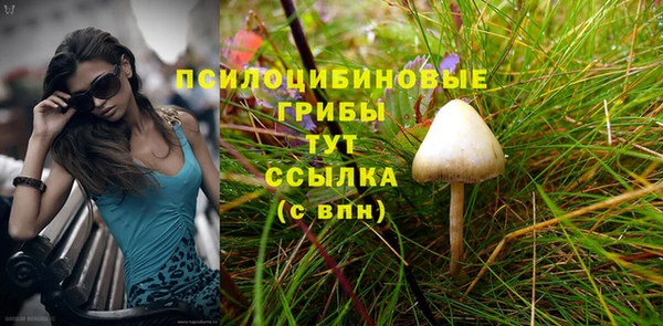 гидра Армянск