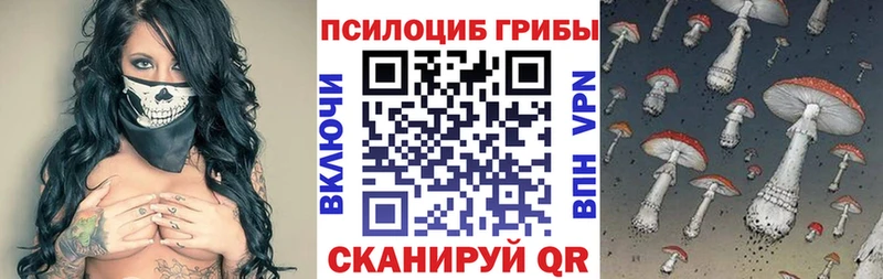 закладка  Кологрив  Галлюциногенные грибы мухоморы 
