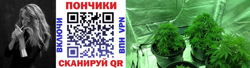 Конопля семена Кологрив